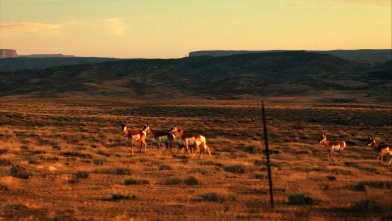 Edward Abbey, naturellement subversif ! backdrop 3