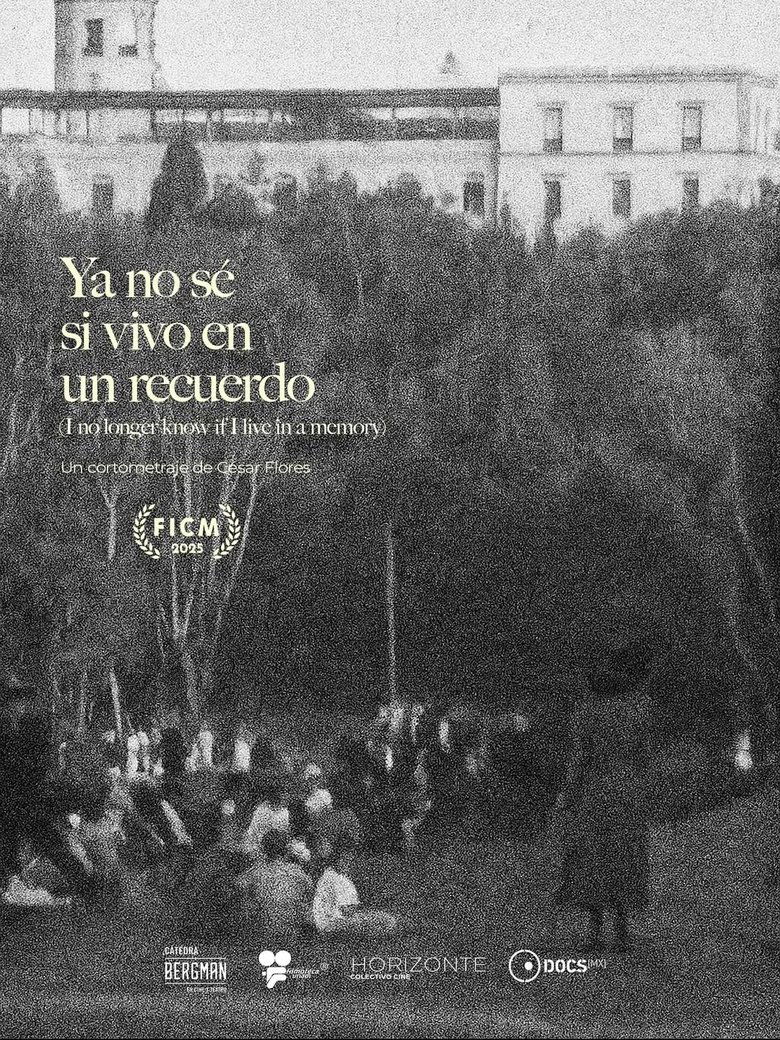 Ya no sé si vivo en un recuerdo