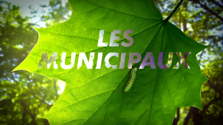 Les municipaux, la série backdrop 2