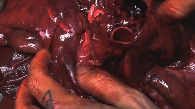 Deitar-se com a podridão