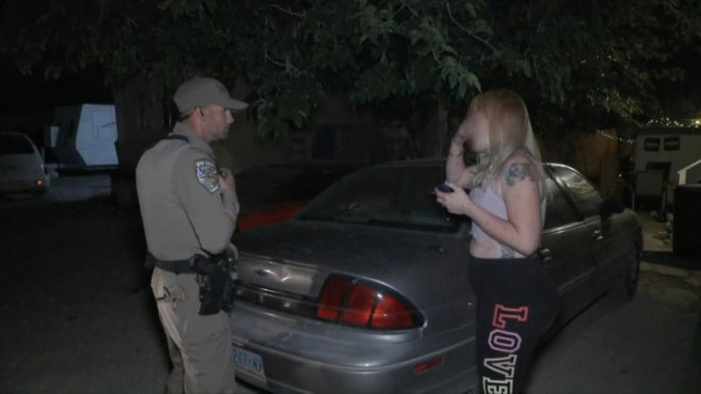 Hit and Run Investigation