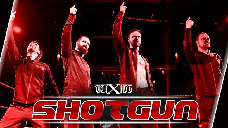Shotgun 351