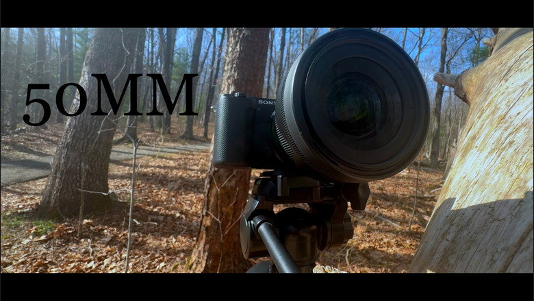 50mm backdrop 3