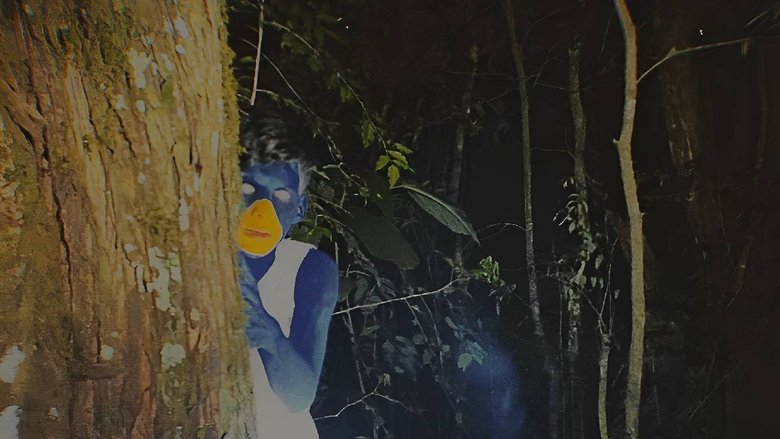 A Maldição dos Backyardigans