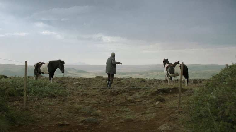 Of Horses and Men backdrop 8