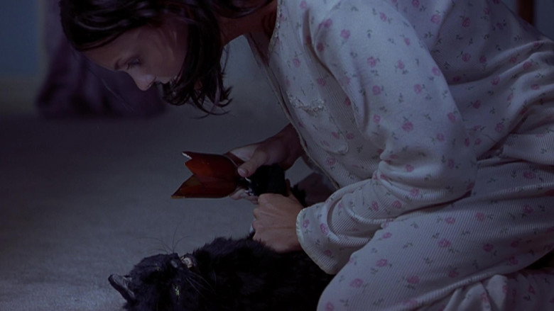 Scary Movie 2 backdrop 7