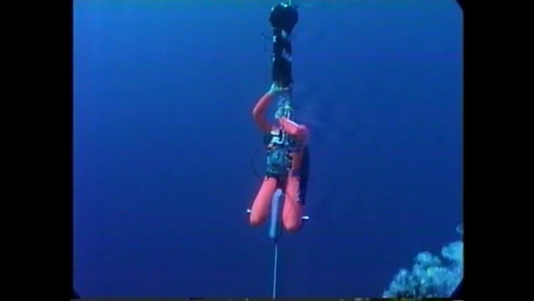 Free Diving