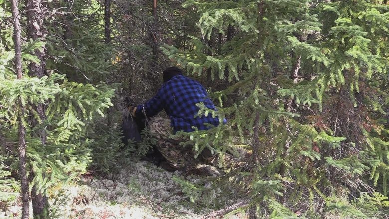 Most Dangerous Moments