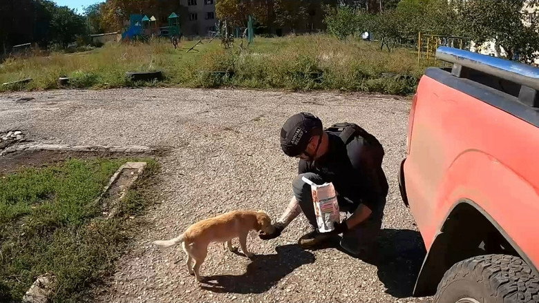 Dogs and War: What I saw in Ukraine backdrop 7