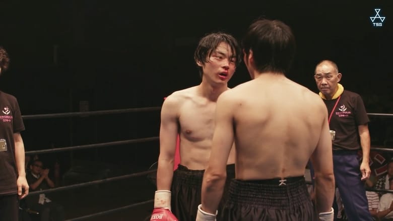 あゝ、荒野 後篇線上电影看完整版