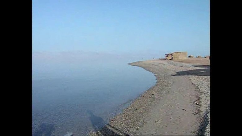 The Red Sea