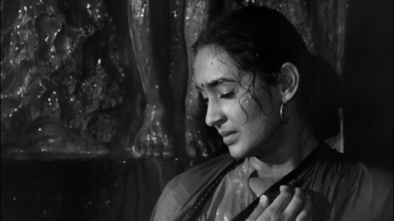 Sujata backdrop 8