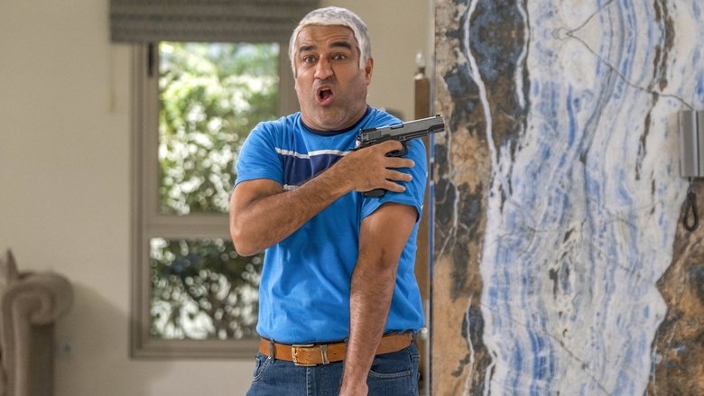 Borzoo Niknejad