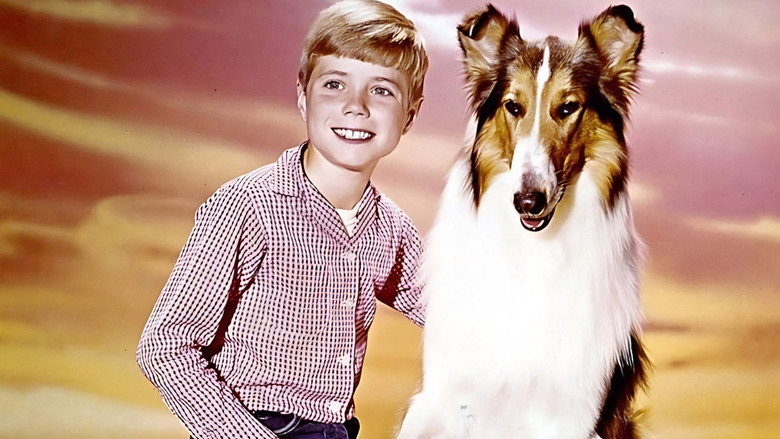 Lassie: The New Beginning backdrop 4