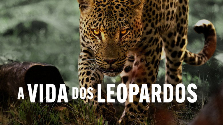Living with Leopards backdrop 4
