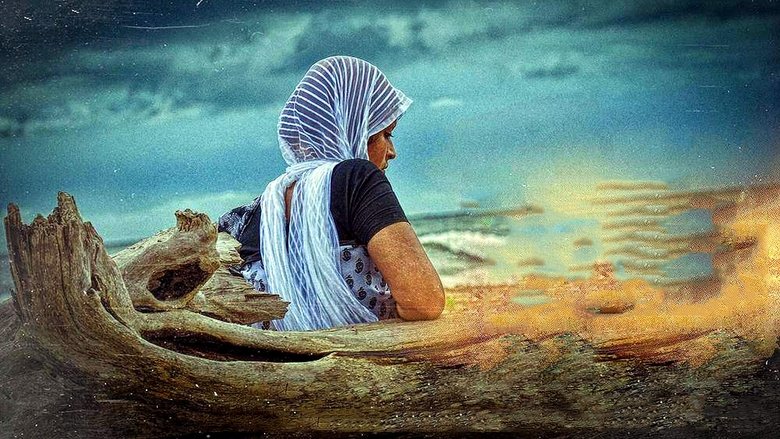 ദി ക്രാബ്線上电影看完整版