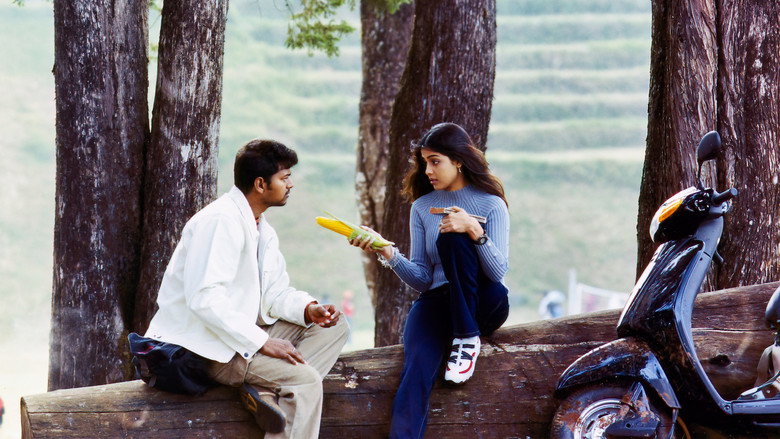 Sachein backdrop 5