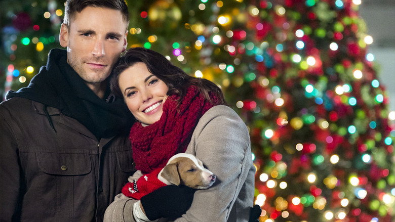 Debbie Macomber's Dashing Through The Snow backdrop 4