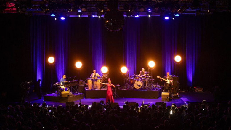 Angélique Kidjo : 40 ans de carrière backdrop 5