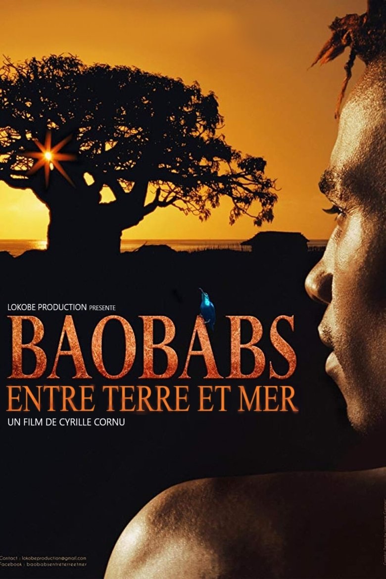 Baobabs between Land and Sea