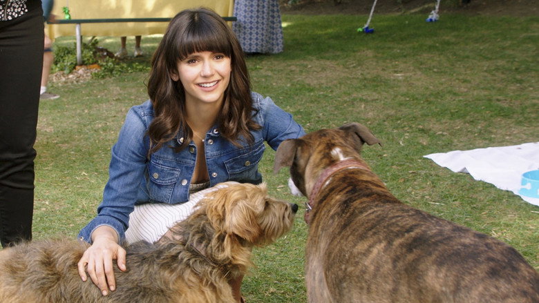 Dog Days backdrop 6