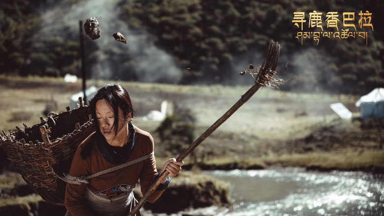 寻鹿香巴拉 backdrop 4