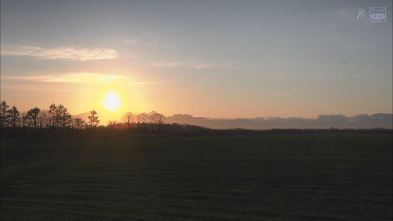 A Distant Cry from Spring backdrop 6