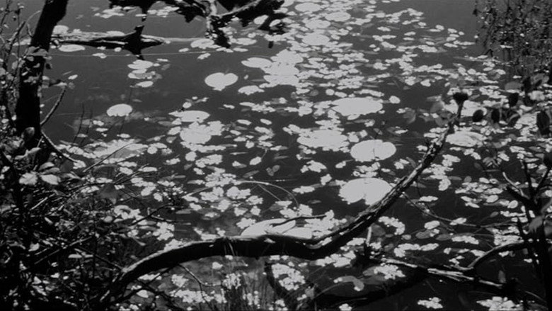 Lake of the Dead backdrop 3