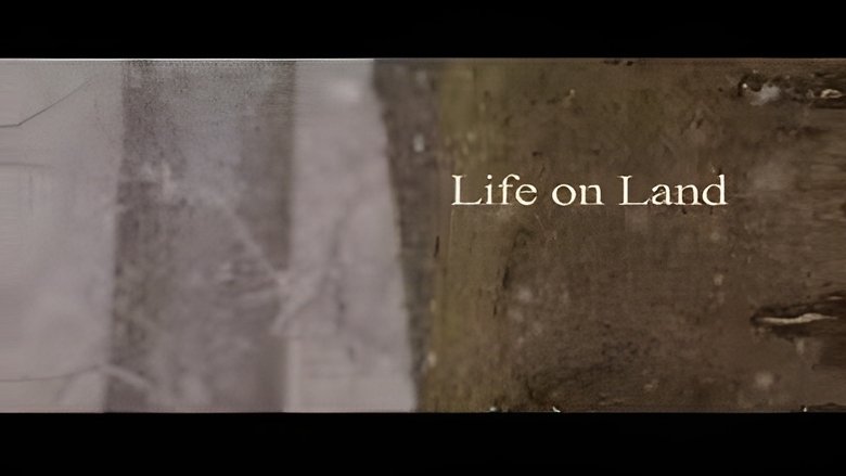 Life on Land