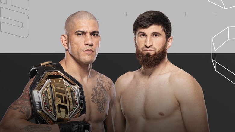 UFC 313: Pereira vs. Ankalaev backdrop 6