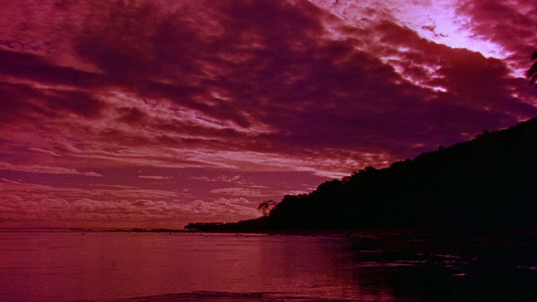 South Pacific backdrop 2