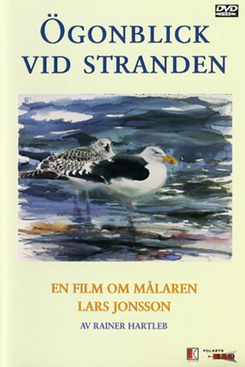 Ögonblick Vid Stranden