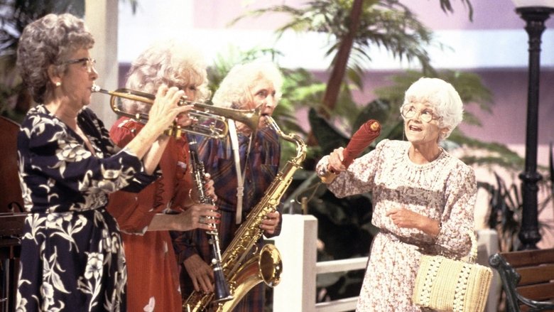 The Days and Nights of Sophia Petrillo