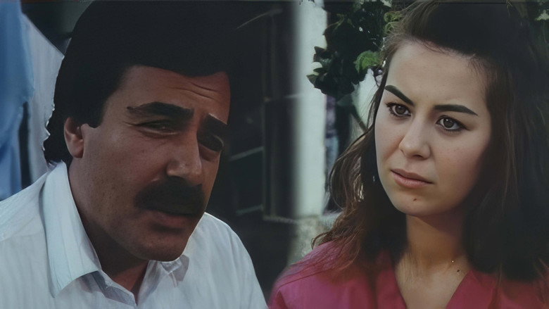 Bu Şehrin Geceleri backdrop 2
