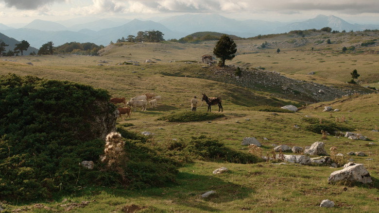 Il Buco backdrop 9