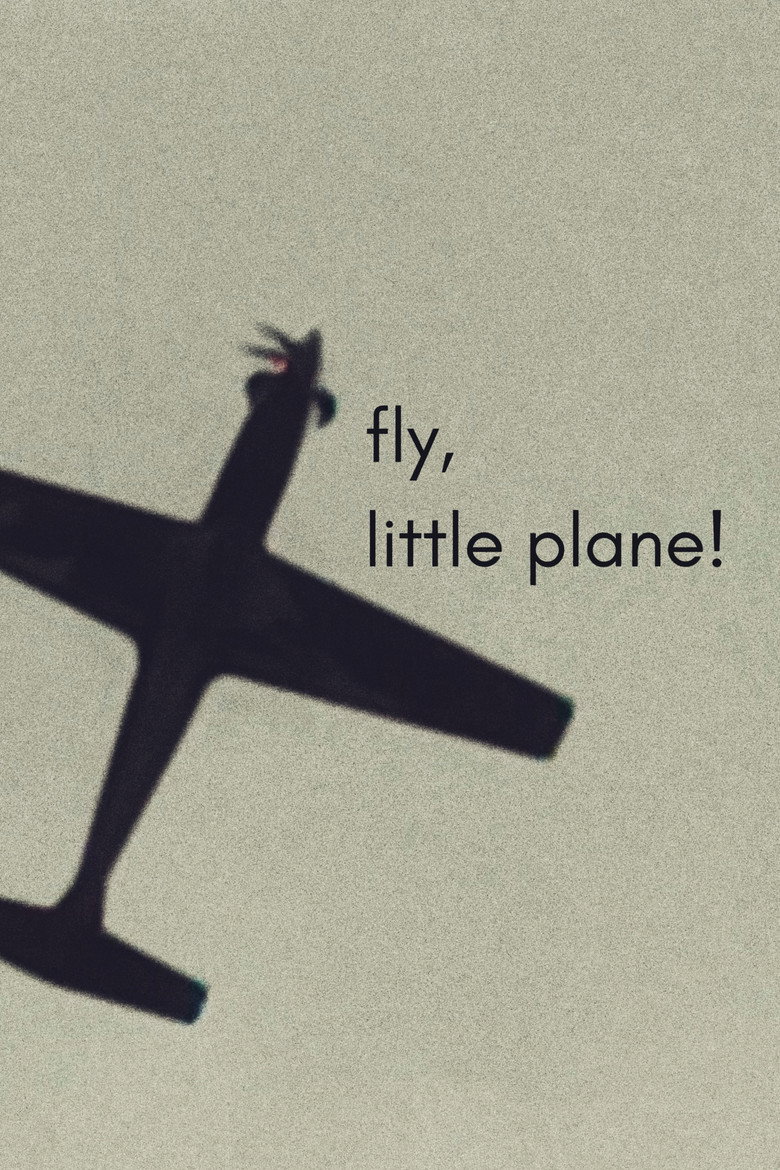 fly, little plane!
