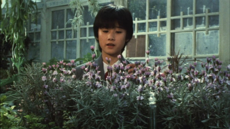 The Girl Who Leapt Through Time backdrop 3