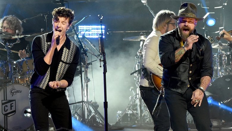 Shawn Mendes & Zac Brown Band