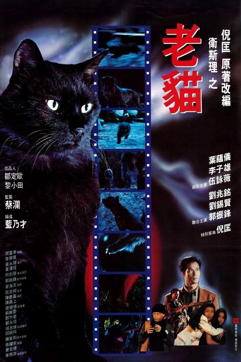 El gato