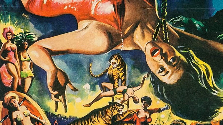 Circus of Horrors線上电影看完整版