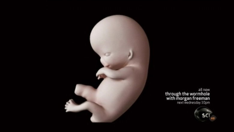 When Does Life Begin?