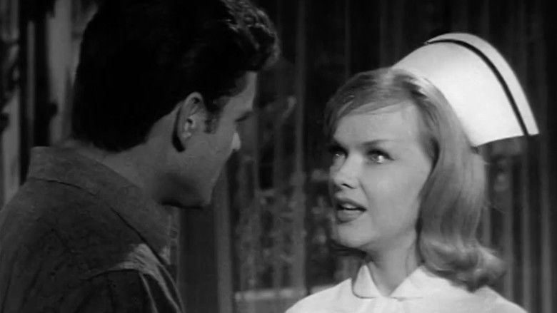 King of the Mountain