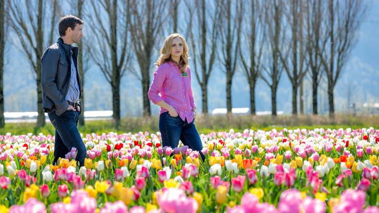 Tulips in Spring backdrop 7