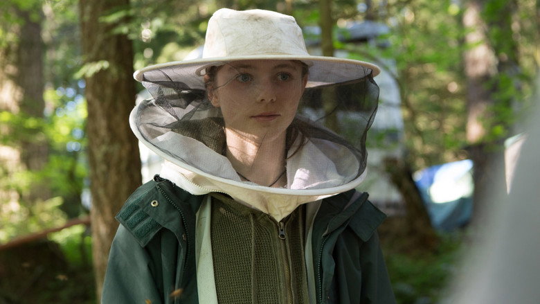 Leave No Trace backdrop 9