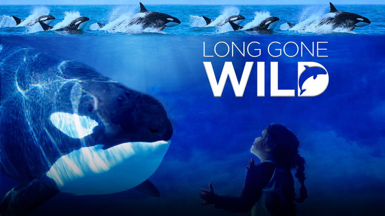 Long Gone Wild backdrop 3