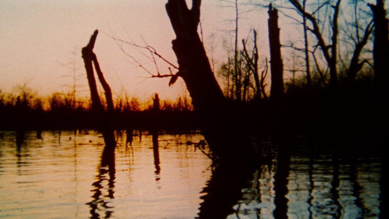 The Legend of Boggy Creek backdrop 9