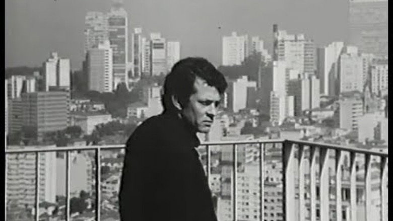 São Paulo: Symphony and Cacophony backdrop 2