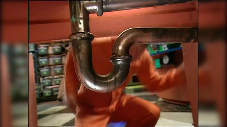 Balance, Beakmania & Camoflage