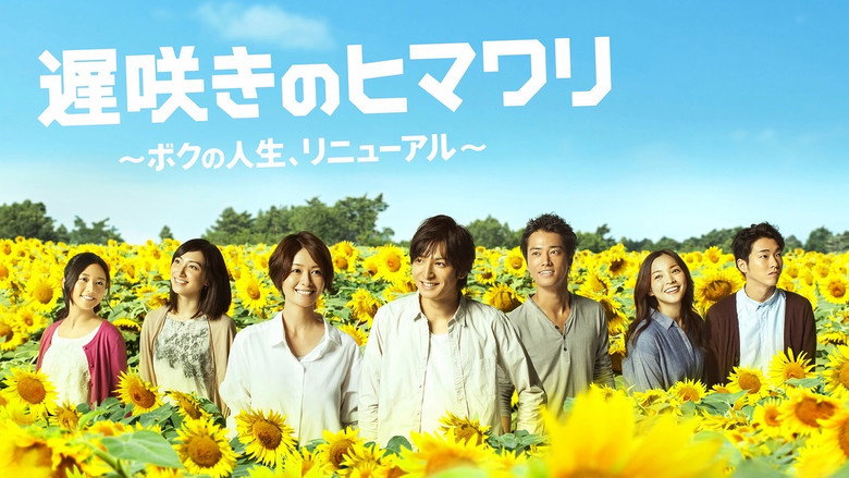 Late Blooming Sunflower My Life Renewed backdrop 3