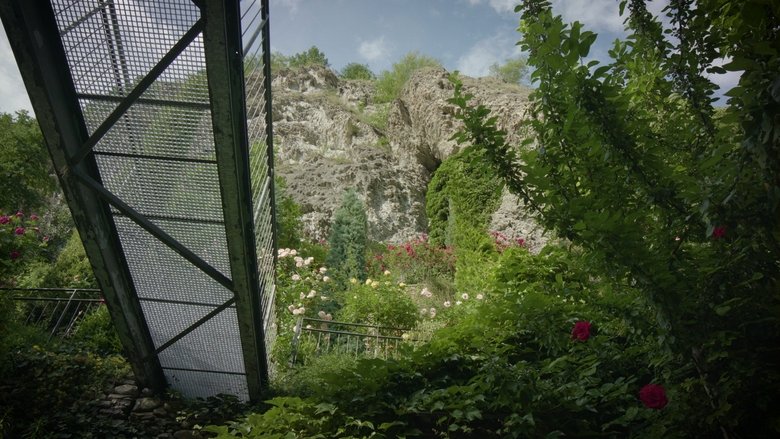 The hanging garden